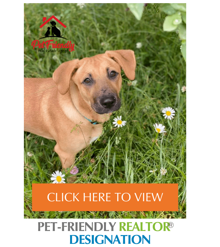 Become a Pet friendly Real Estate Professional